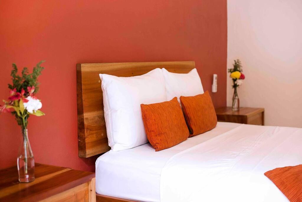 巴利亚多利德Casona Xtabay, En El Centro De Valladolid别墅 外观 照片
